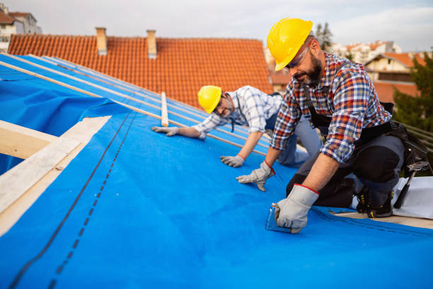 Roof Insulation in Stafford Courthouse, VA